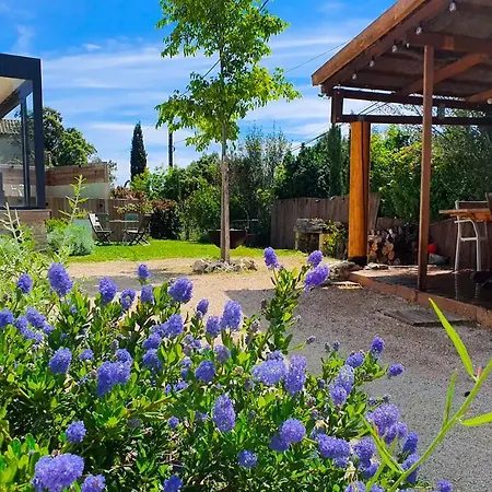 Villa Luxueuse Avec De Nage Villeneuve-lès-Avignon