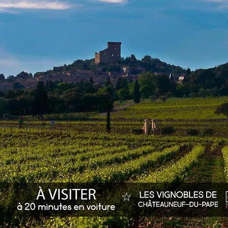 Luxueuse Avec De Nage Villeneuve-lès-Avignon